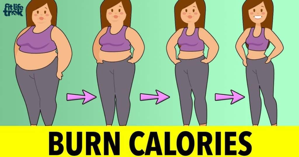 How Many Calories Do You Burn Walking 10000 Steps a Day