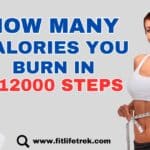 How many calories you burn in 12000 steps